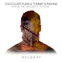 Chocolate Puma